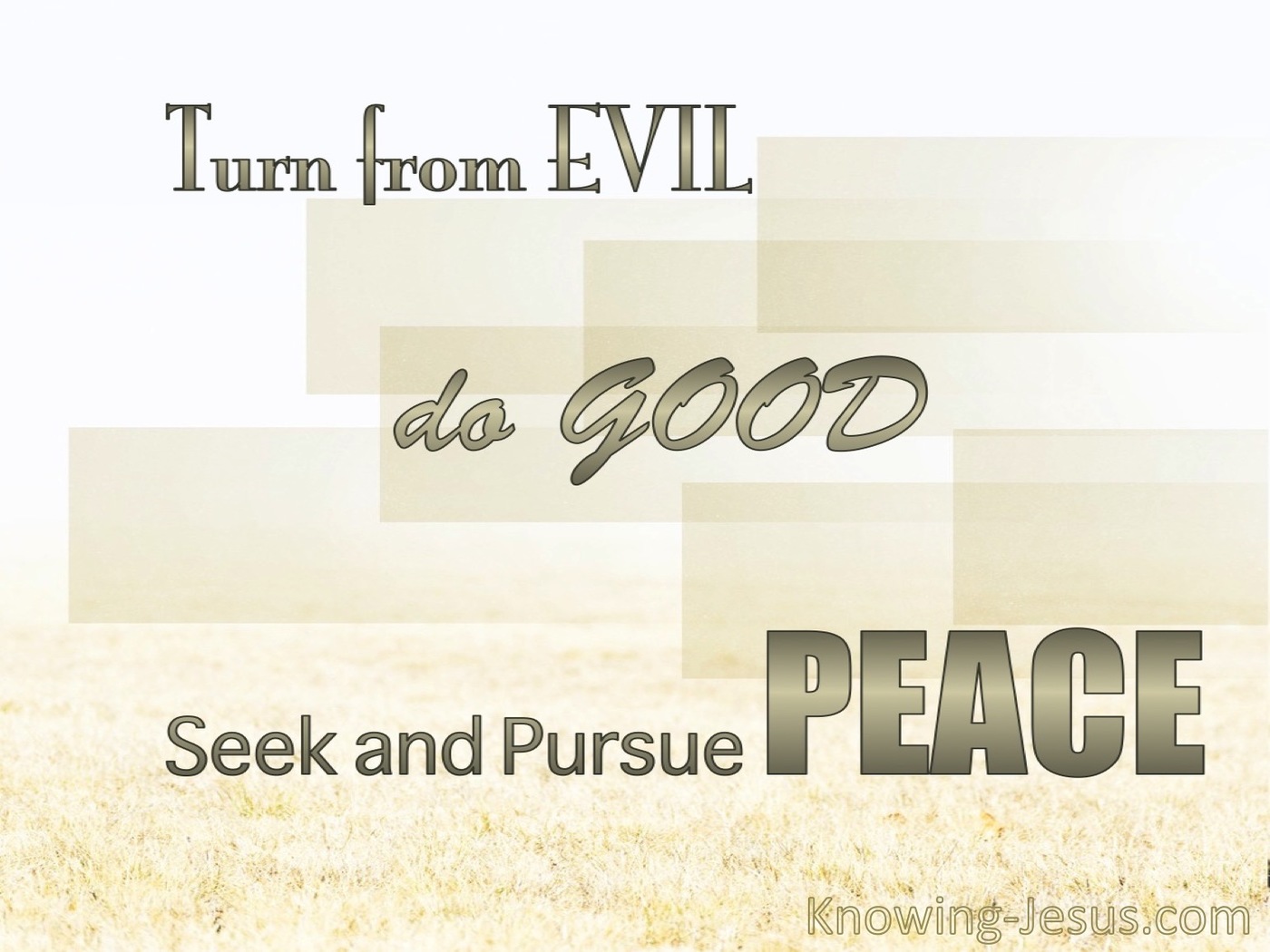 1 Peter 3:11 Turn From Evil And Do Good (beige)
